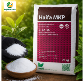 PHÂN BÓN MKP (0-52-34)  - HAIFA - XUẤT XỨ ISRAEL 
