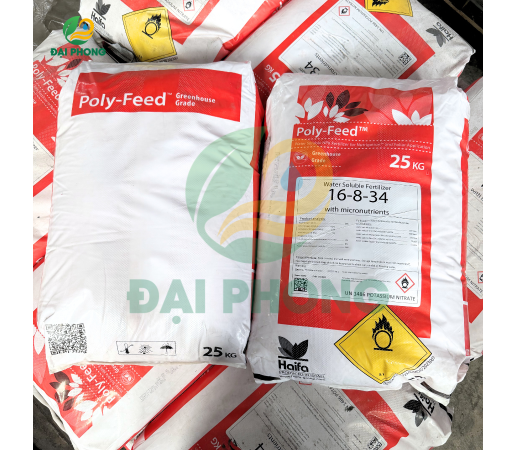 POLY-FEED 16-8-34 - HAIFA - ISRAEL