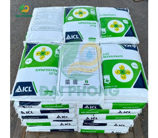ICL Plus Polysulphate Standard (+Bo) - Anh Quốc 